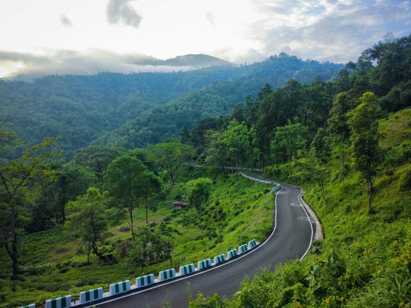 Njp to Darjeeling