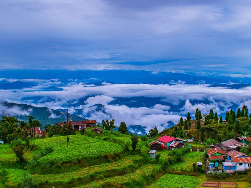 Queen of Hills Darjeeling